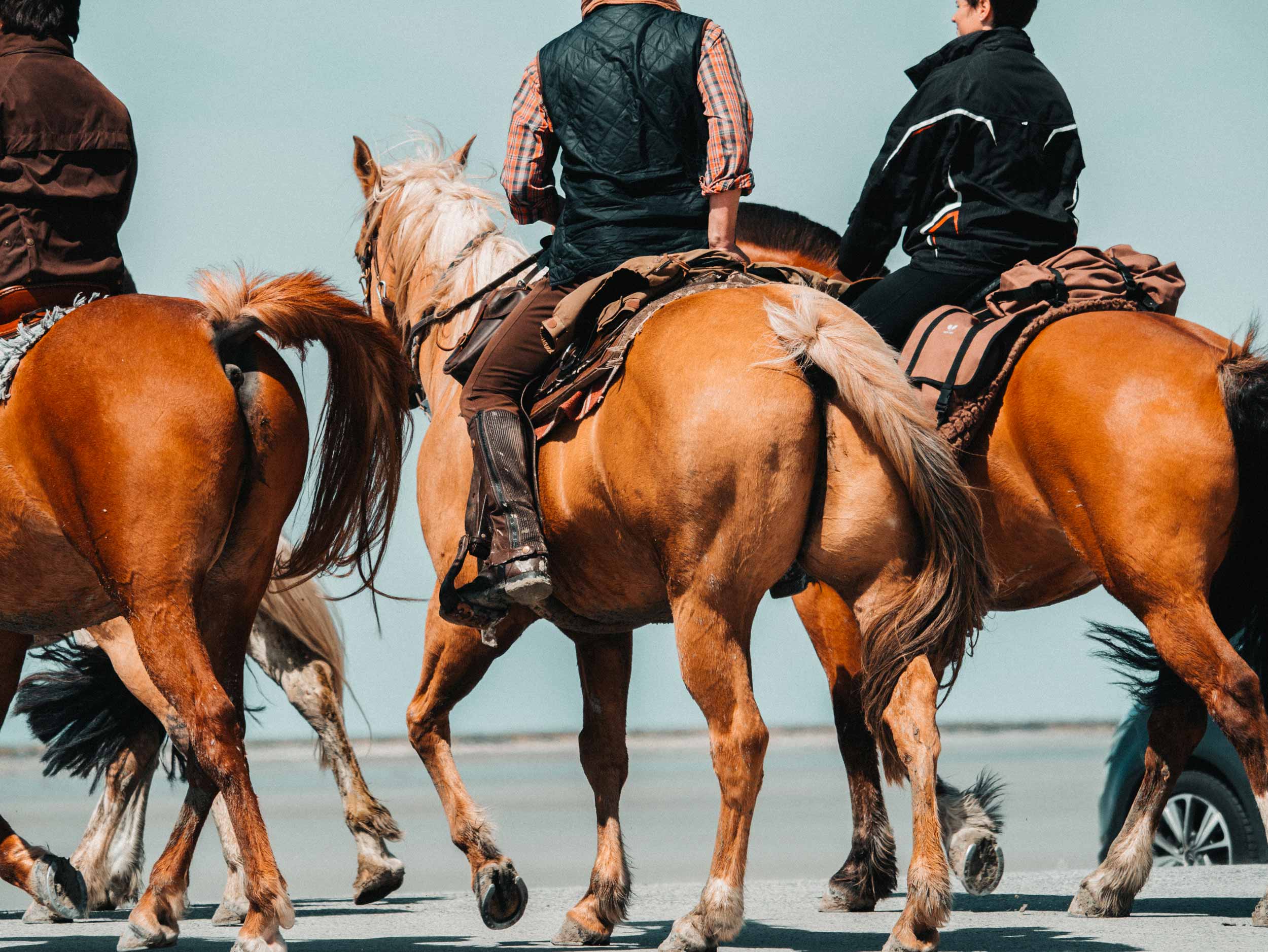 Cheval